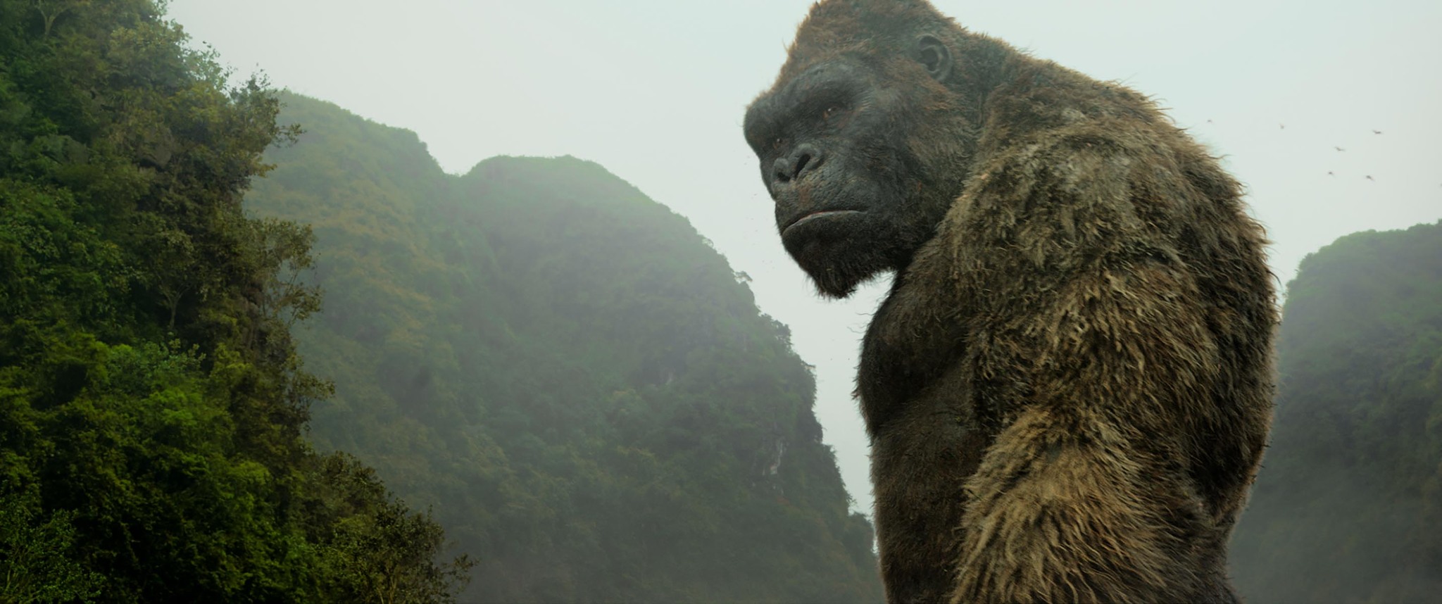 kong-skull-island